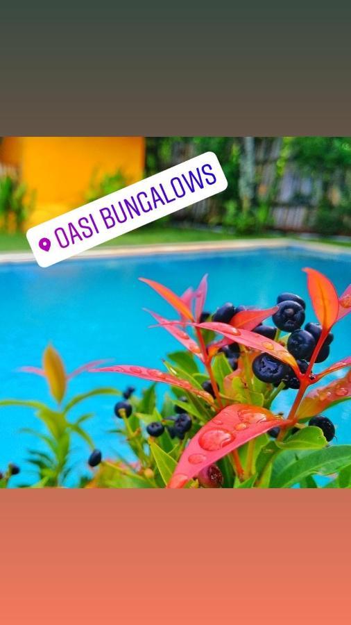 Hotel Oasi Bungalows Gili Air Exteriér fotografie