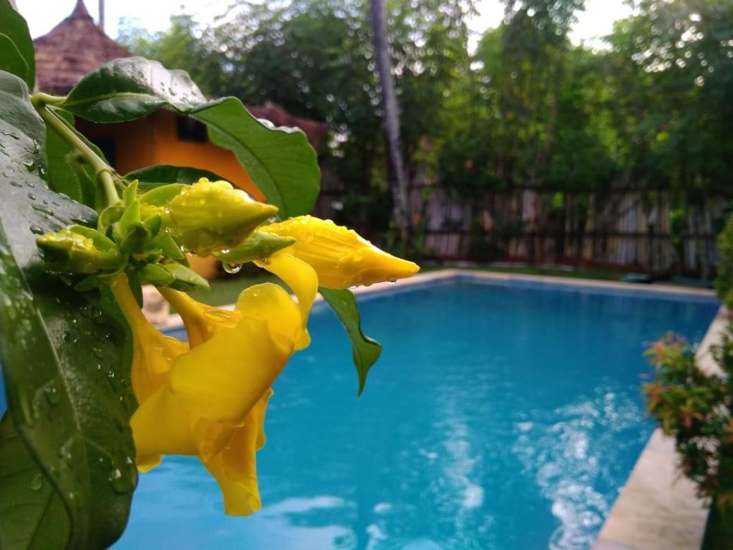 Hotel Oasi Bungalows Gili Air Exteriér fotografie
